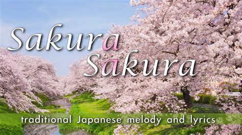  Sakura Sakura Japonya'nın Geleneksel Müzik Mirası: Kalpten Gelen Bir Melodi